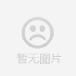 三叶罗茨风机（皮带传动）