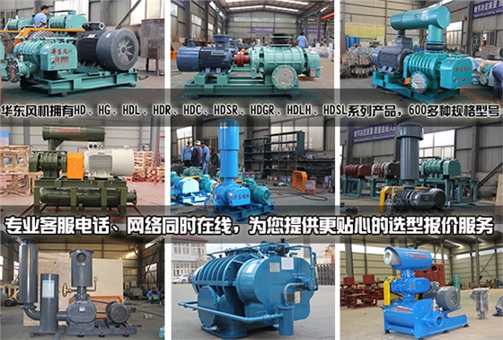 各型号规格罗茨风机产品展示.jpg
