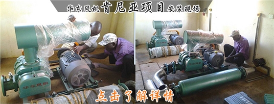 肯尼亚.jpg