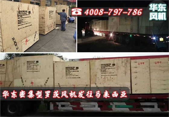 密集型罗茨风机发货