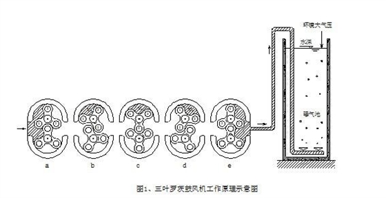 污水曝气罗茨风机工作原理