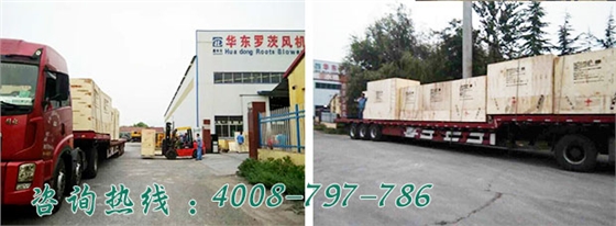 马来西亚hume cement有限公司水泥项目罗茨风机发货现场