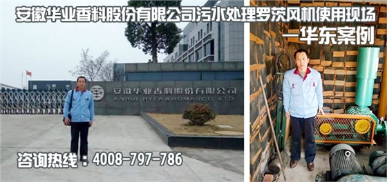 安徽华业香料污水处理用罗茨风机使用现场