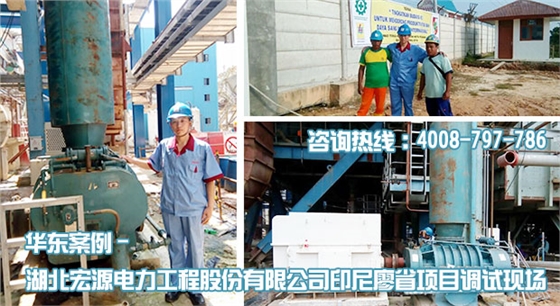 宏源电力印尼廖省项目HDGR450罗茨风机安装调试现场