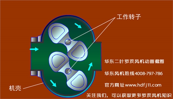 罗茨风机的动画截图.jpg