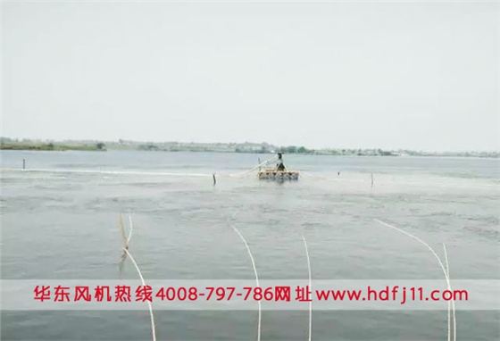 微孔曝气增氧机鳜鱼水产养殖.jpg