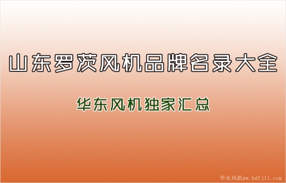罗茨风机品牌.jpg