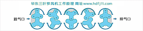 三叶罗茨风机进出气工作原理.jpg