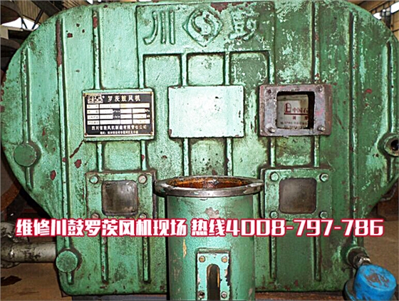 川鼓罗茨风机维修.jpg