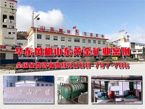 山东矿业.jpg