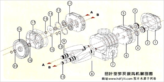 扭叶罗茨风机02.jpg