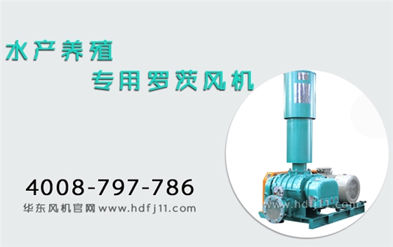 罗茨风机水产养殖.jpg