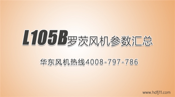 L105b罗茨风机.jpg