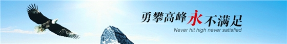 台湾春鼎罗茨风机