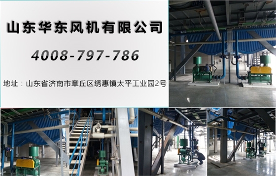 密集型罗茨风机
