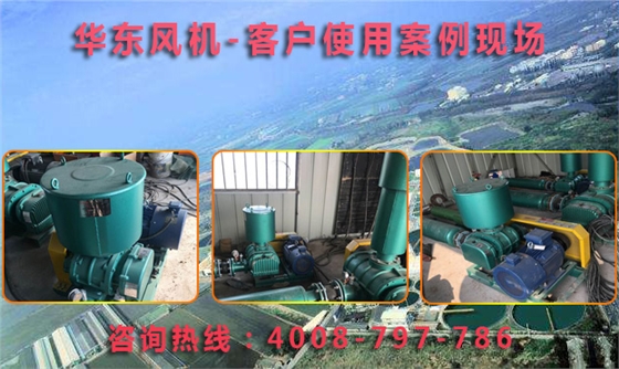 三叶罗茨风机