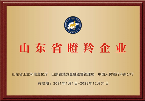 瞪羚企业大.jpg