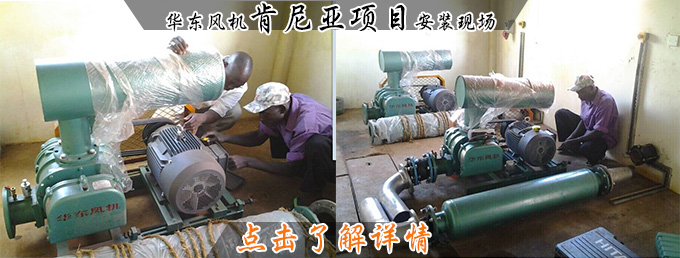 肯尼亚.jpg