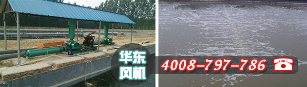 微孔曝气增氧机