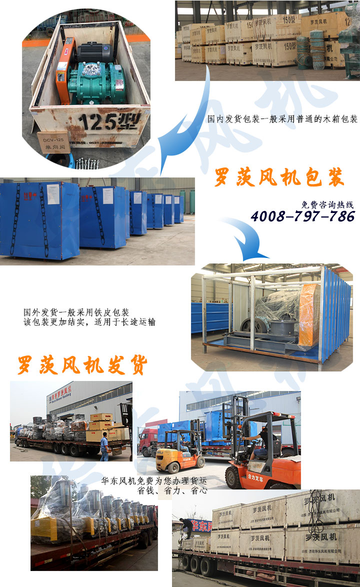 HDSR200（高压）三叶罗茨风机