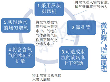 罗茨式增氧机原理