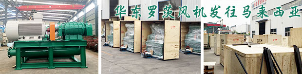 马来西亚hume cement有限公司水泥项目罗茨风机发货现场