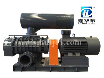 HDRF300型罗茨风机