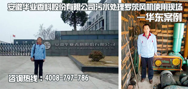 安徽华业香料污水处理用罗茨风机使用现场