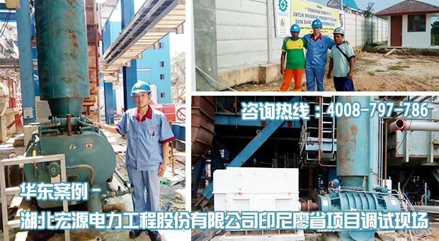 宏源电力印尼廖省项目HDGR450罗茨风机安装调试现场