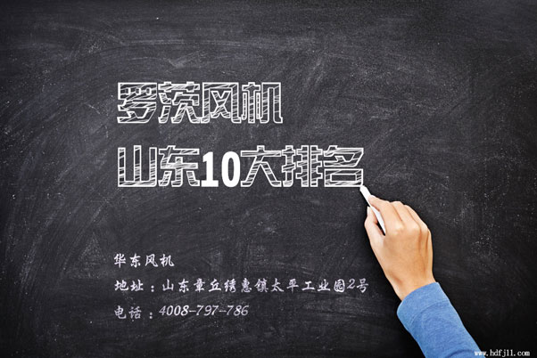 全国罗茨风机10大排名品牌.jpg