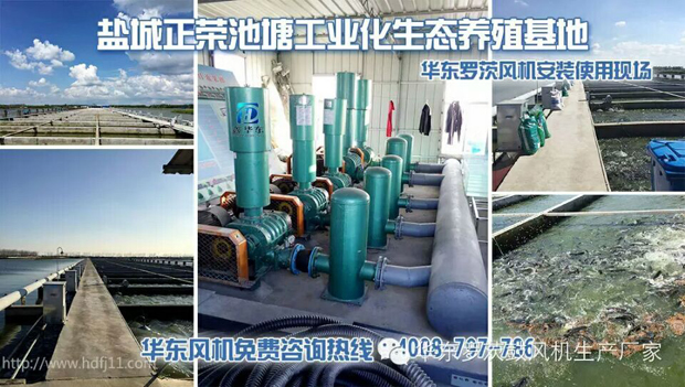 QQ图片20160423094510.jpg
