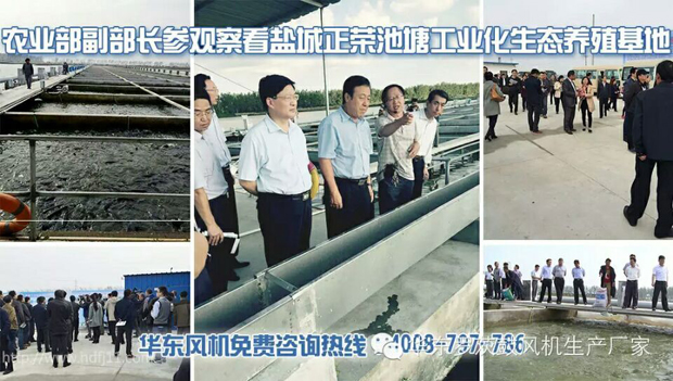 QQ图片20160423094544.jpg