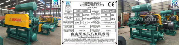 密集罗茨风机