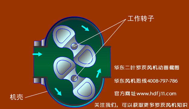罗茨风机的动画截图.jpg