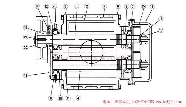 三叶罗茨风机内部结构图-纵切图.jpg