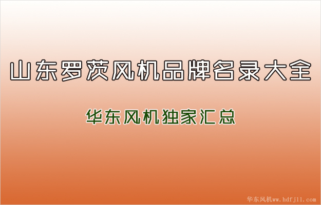 罗茨风机品牌.jpg