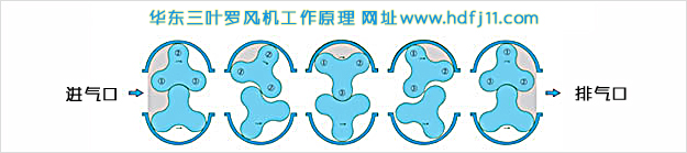 三叶罗茨风机进出气工作原理.jpg