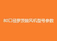 80口径罗茨鼓风机参数.jpg