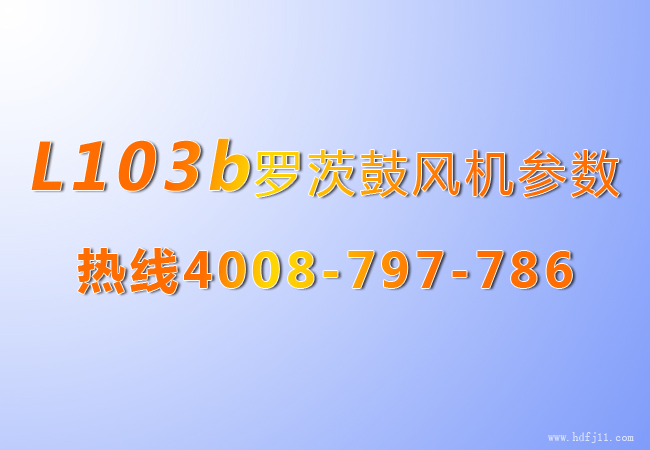L系列罗茨风机103b.jpg