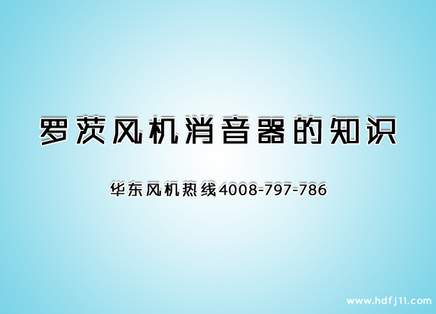 罗茨鼓风机消音器.jpg