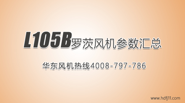 L105b罗茨风机.jpg