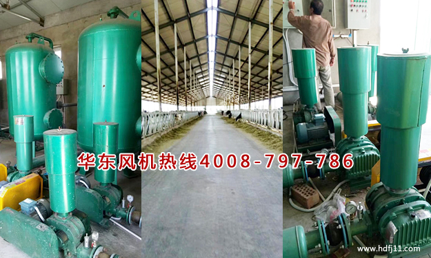 养殖行业用罗茨风机