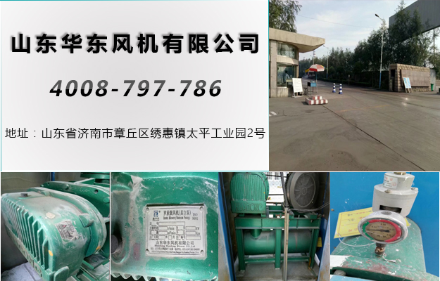 密集型罗茨风机