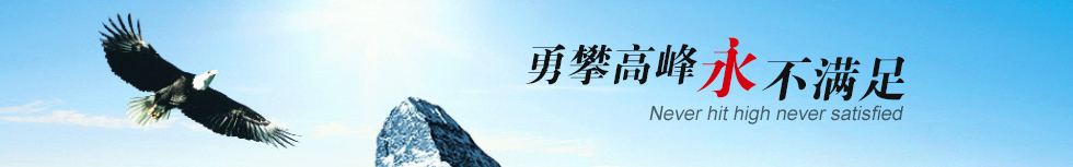 台湾春鼎罗茨风机