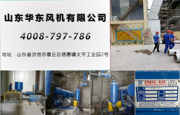 双极串联罗茨风机