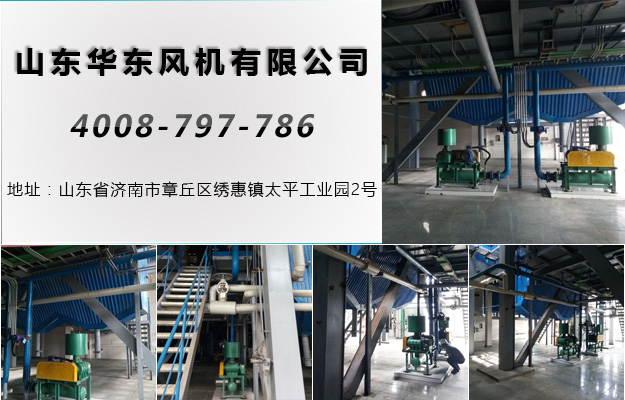 密集型罗茨风机