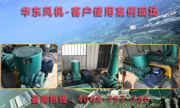 三叶罗茨风机