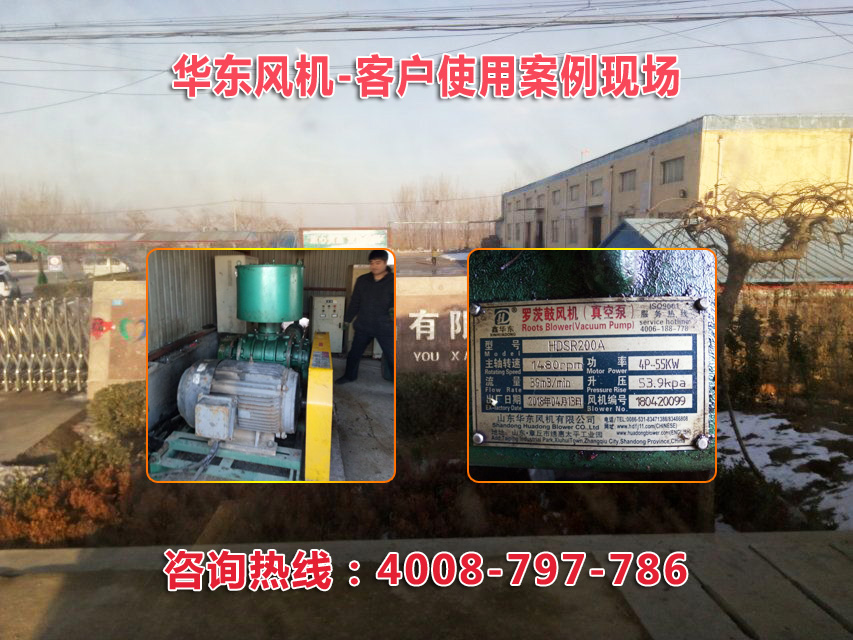 三叶罗茨风机
