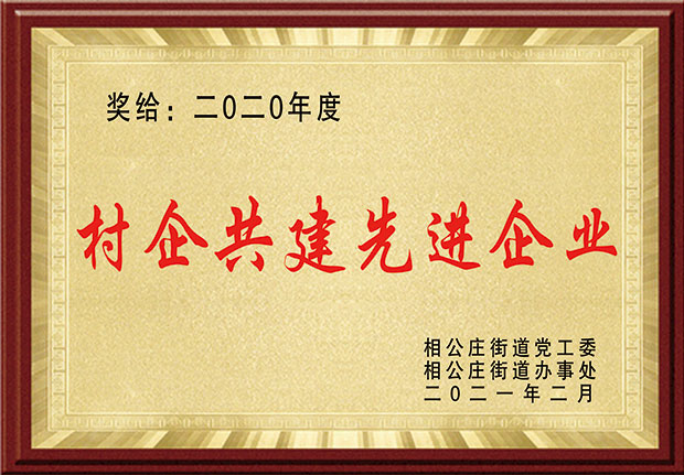 村企共建先进企业大.jpg