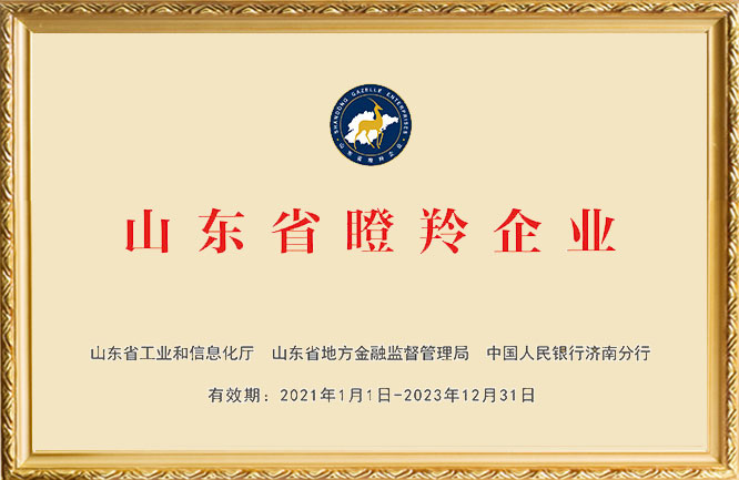 华东荣誉-山东省瞪羚企业